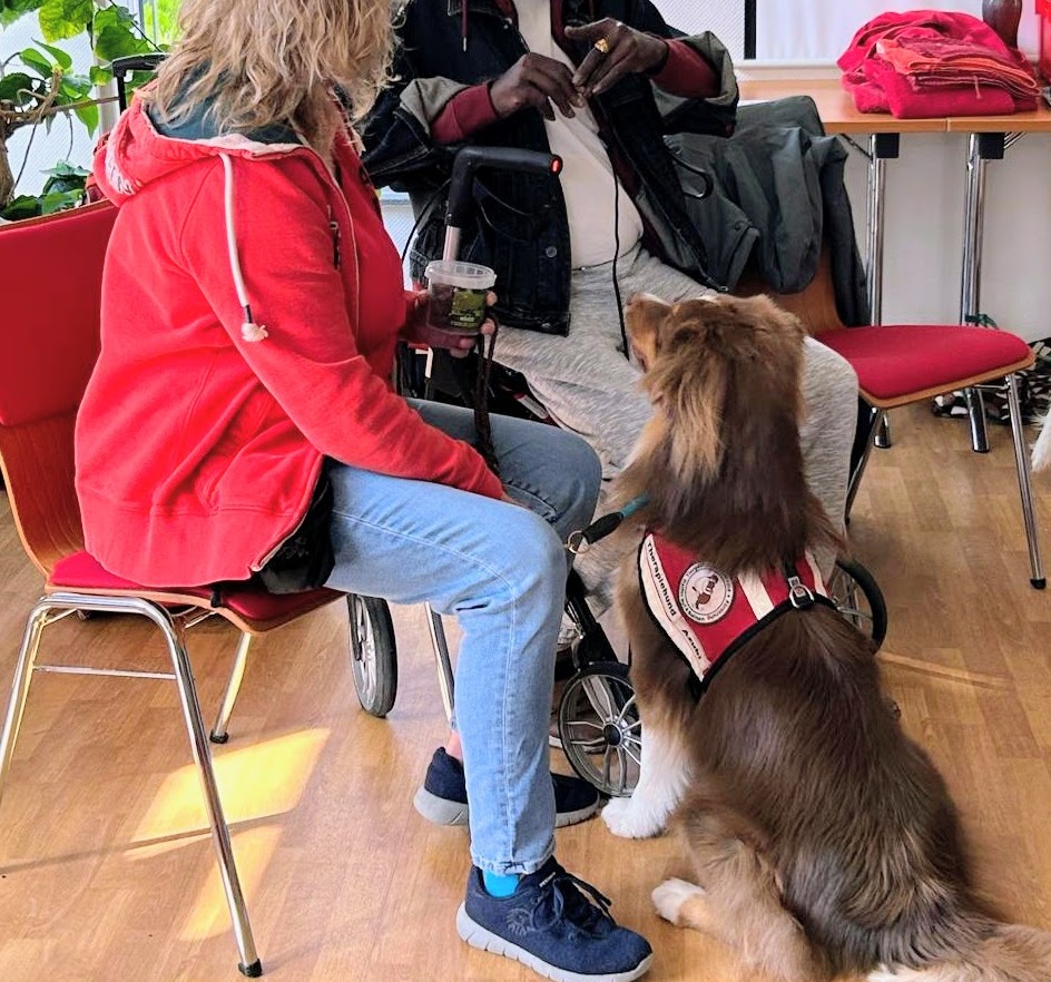 Pepper im Einsatz