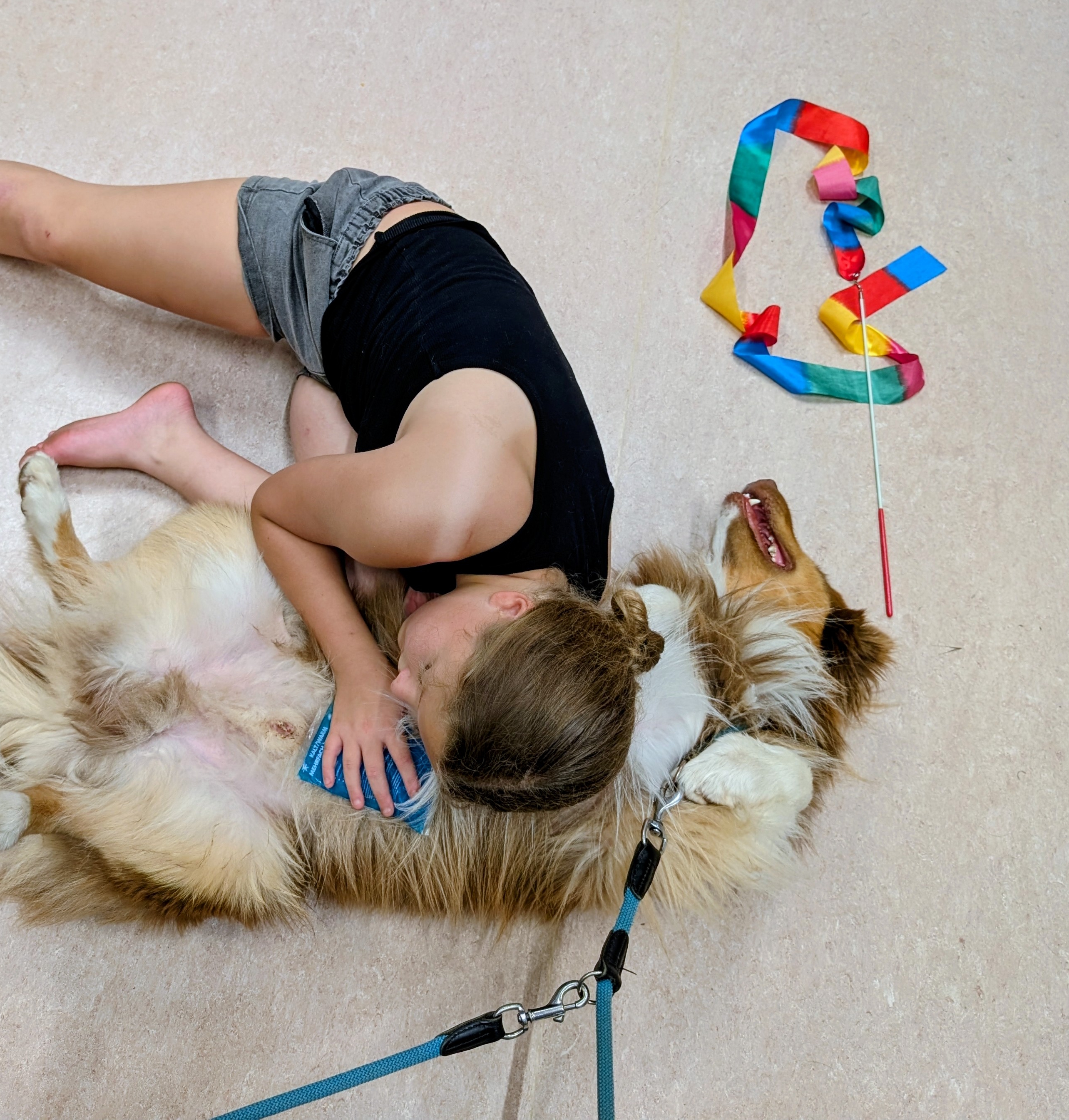 Jugendlicher im Einzelcoaching mit Therapiehund – hundegestütztes Coaching für Teenager